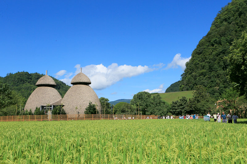 張家界黃龍洞：農(nóng)旅融合生態(tài)美，田園風(fēng)光引客來