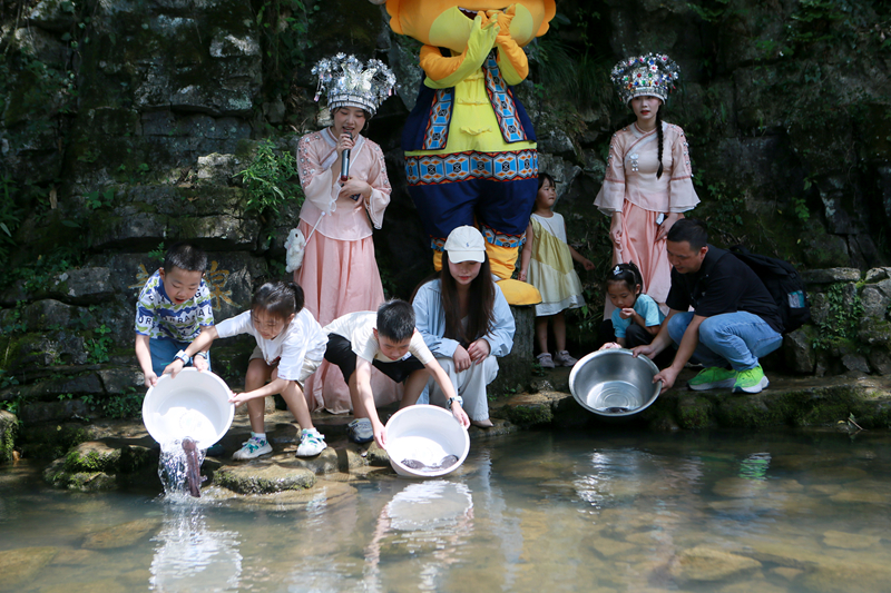 人工增殖放流百余尾幼苗，張家界黃龍洞“大鯢家園”再添新丁